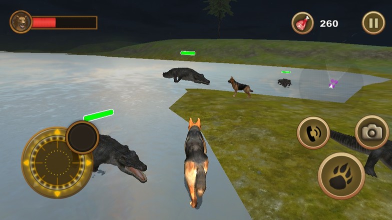 Wild Dog Survival Simulator截图4