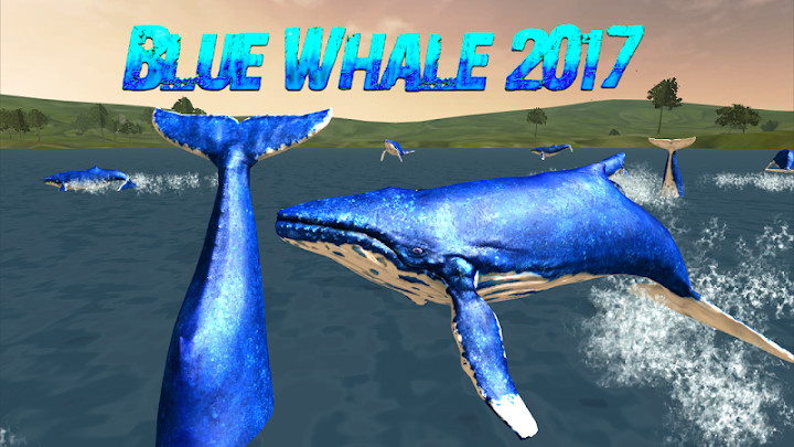 Blue Whale 2020截图4