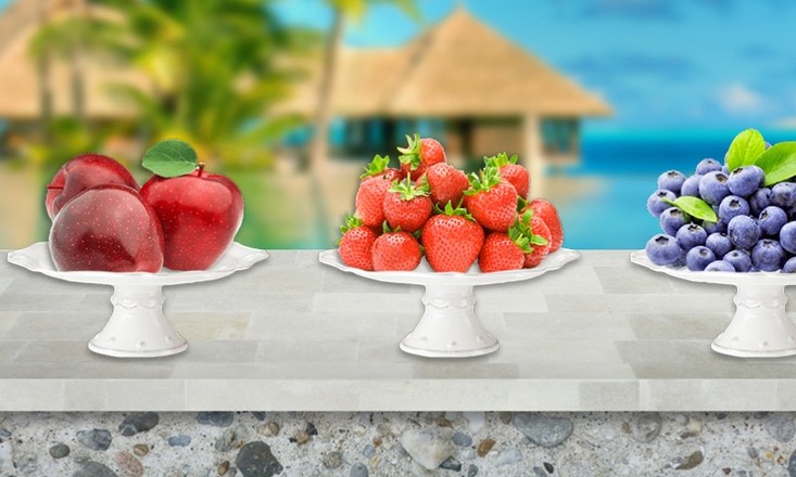 Ice Frozen Yogurt Maker截图4