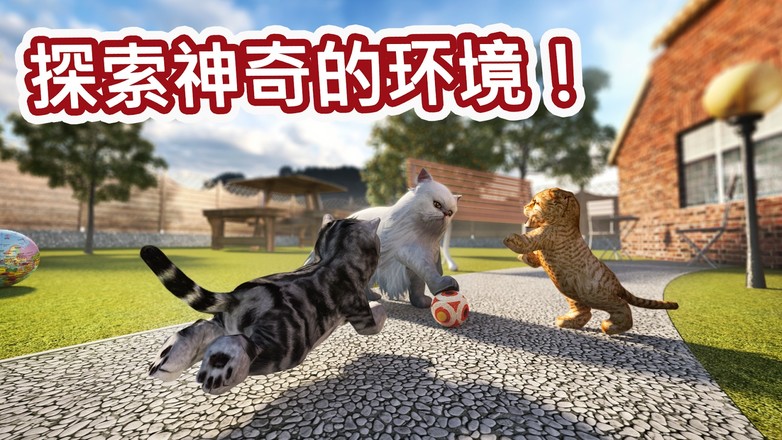 模拟猫咪 Cat Simulator截图1