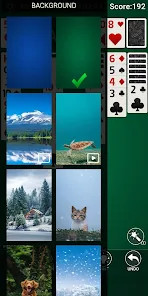 Solitaire - 2024截图6