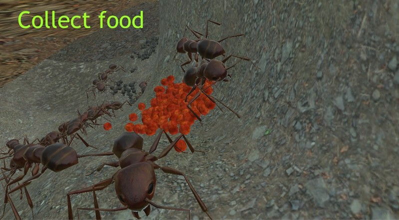 蚂蚁模拟3D截图5
