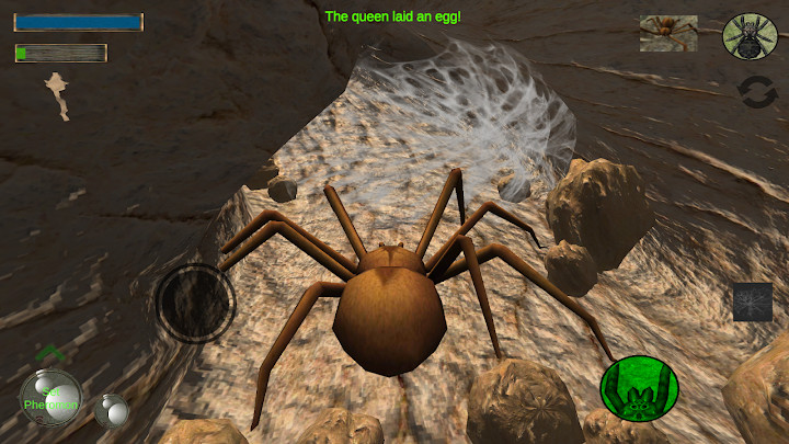 Spider Nest Simulator - insect and 3d animal game截图4