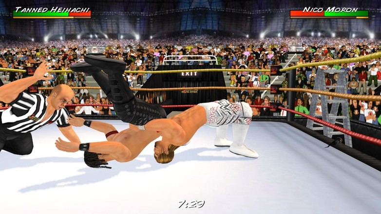 摔跤革命3D修改版截图7