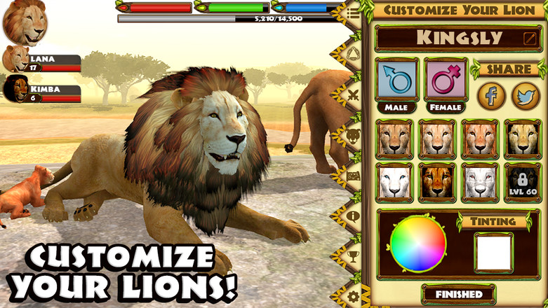 Ultimate Lion Simulator截图8