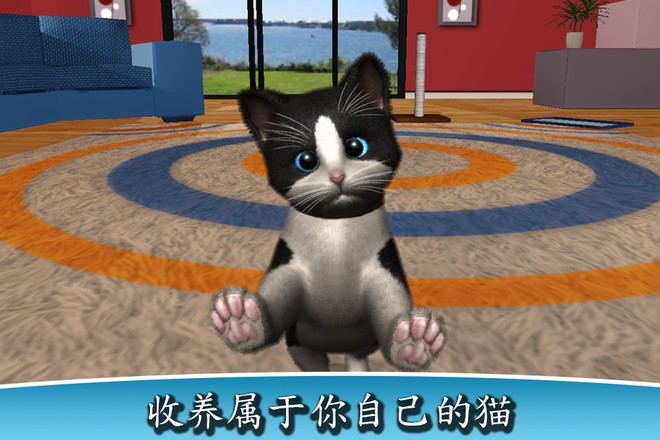 Daily Kitten : 虚拟宠物猫小猫动物截图1