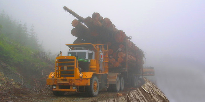 Heavy Logging Cargo Truck Transport Simulator截图5