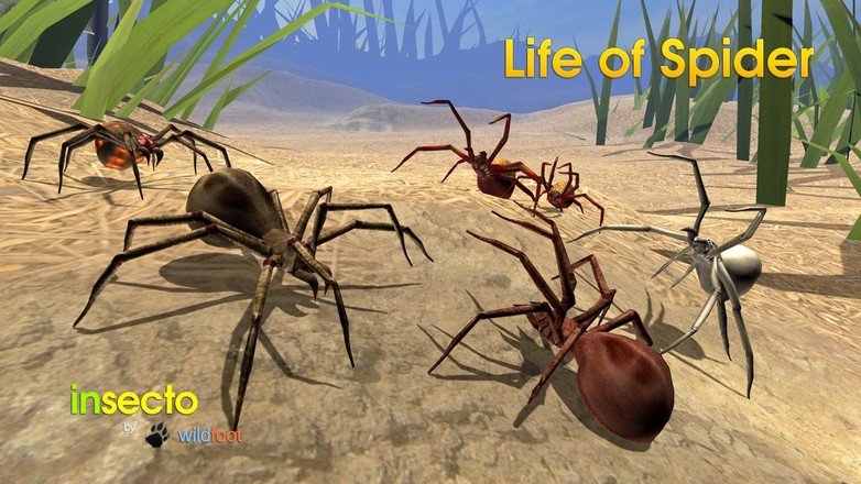 Life of Spider截图4