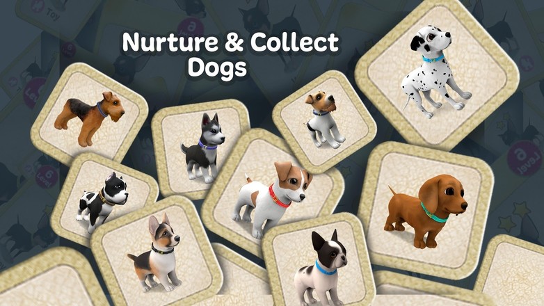 Dog Town：宠物店游戏、照顾狗并与狗一起玩截图10