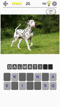 Dogs Quiz - Guess Popular Dog Breeds in the Photos截图1