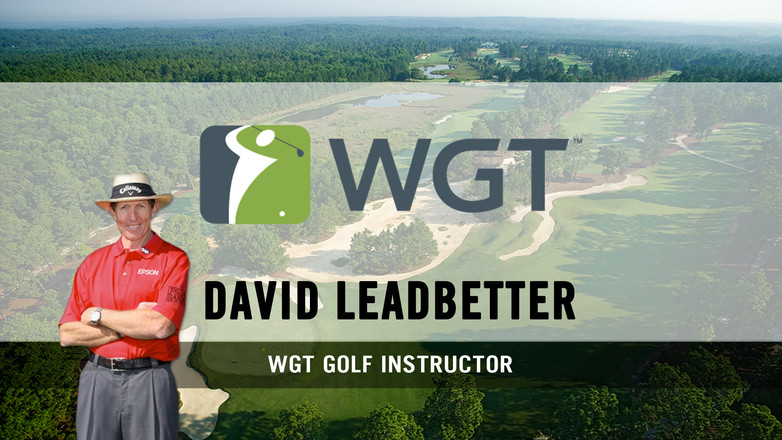 WGT Golf Game by Topgolf截图7
