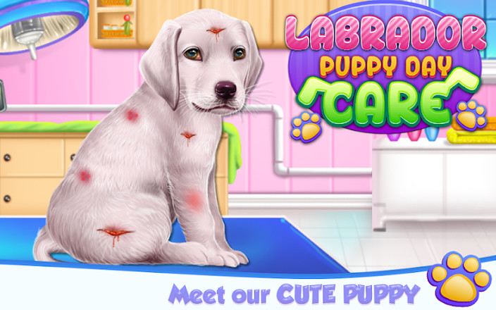 Labrador Puppy Day Care截图1