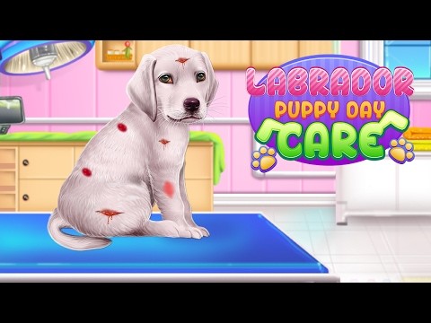 Labrador Puppy Day Care截图