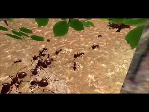 蚂蚁模拟3D截图