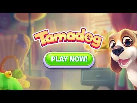 Tamadog - My talking Dog Game (AR) ? Virtual pet截图