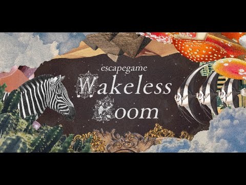 Escapegame WakelessRoom截图