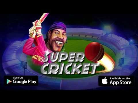 Super Cricket T20 (Free Cricket Game 2018)截图