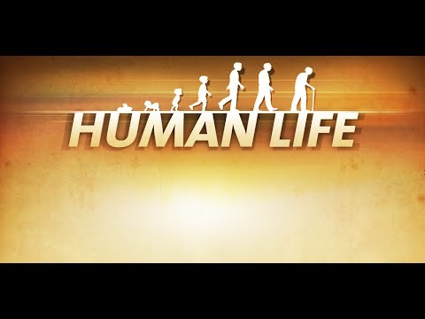 Human Life 人类生活截图