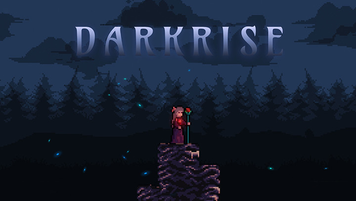 Darkrise - Pixel Classic Action RPG截图