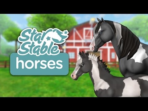 Star Stable Horses截图